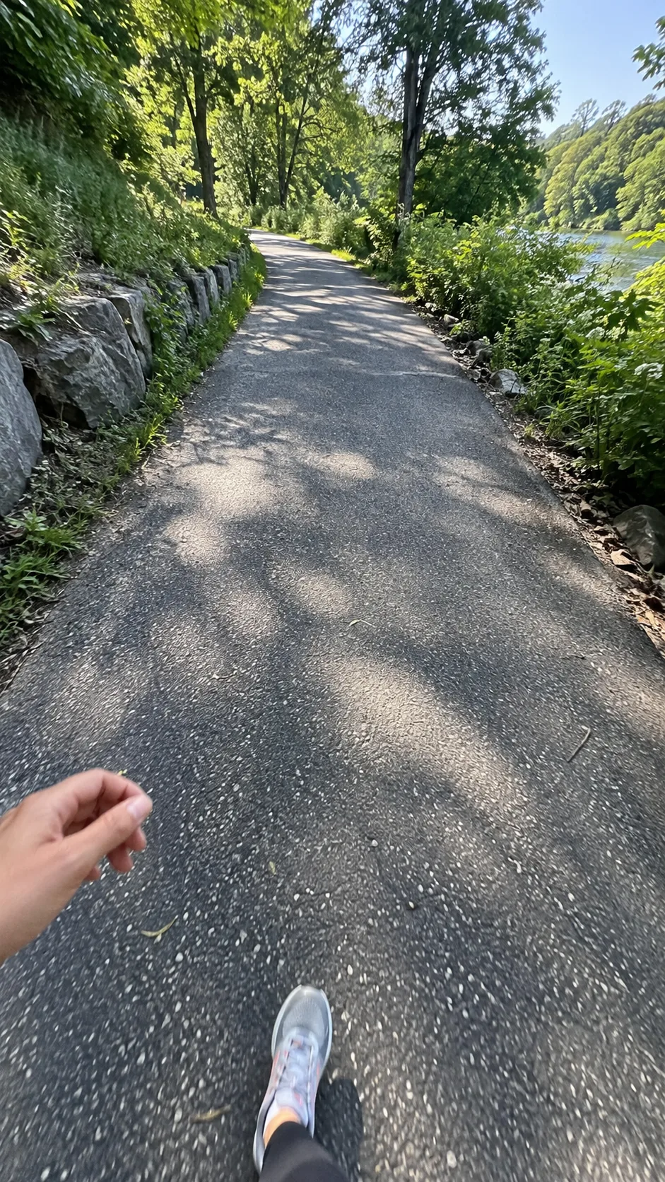 Park path walk